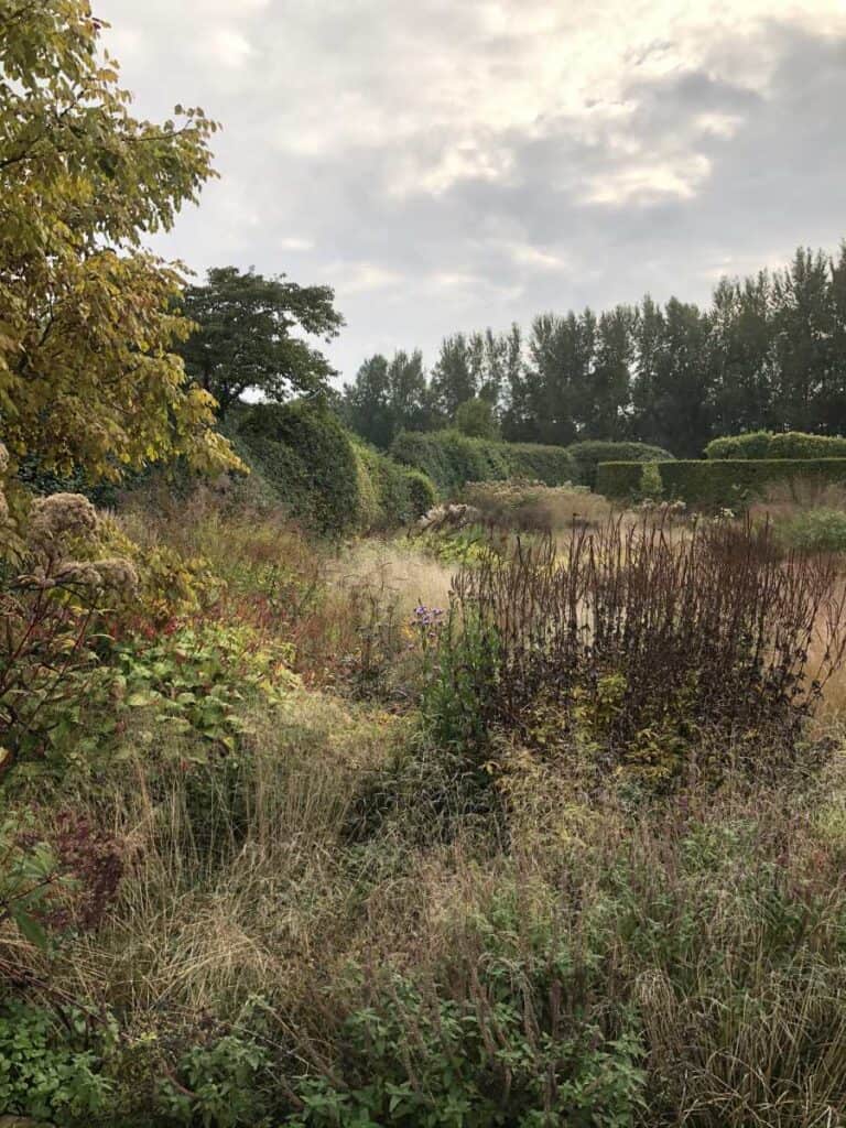 Siergrassen in laagstaand herfstlicht in een natuurlijke border