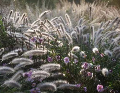 Stadsnaam bord Nuenen in Nederland, aandacht voor lokale cultuur en geschiedenis.