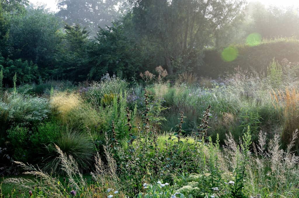 Overzicht van een rijpe zomertuin in augustus