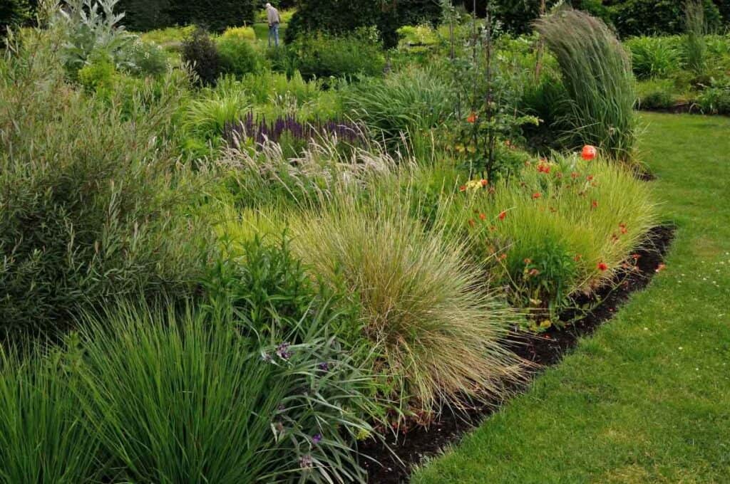 Overzicht van een volle tuin in juni