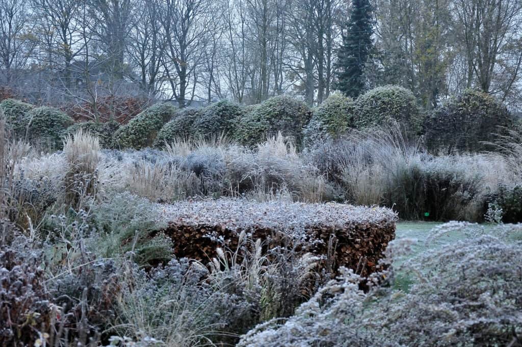Overzicht van een verstilde tuin in november