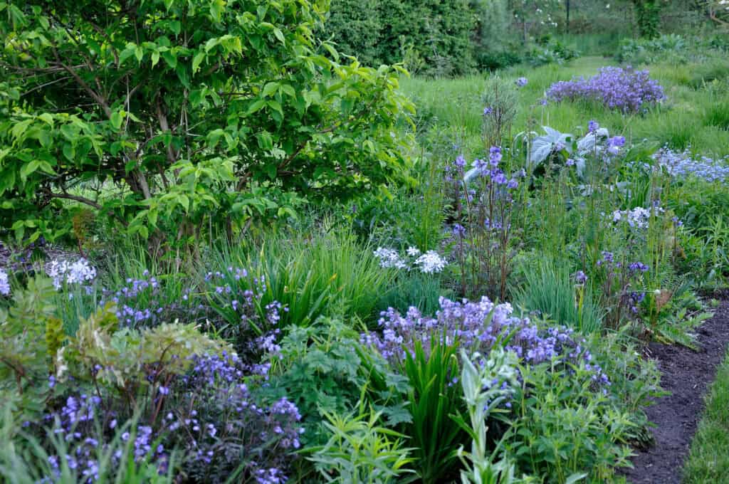Overzicht van een volle tuin in mei