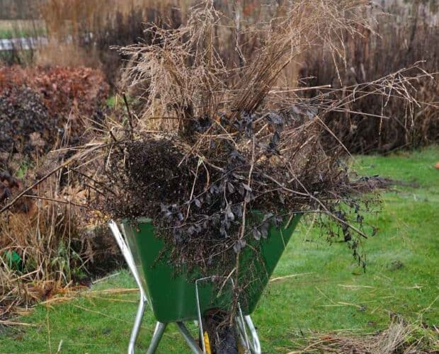 Verspreide planten en tuinafval in een groene groene tuingereedschap kar op gras.
