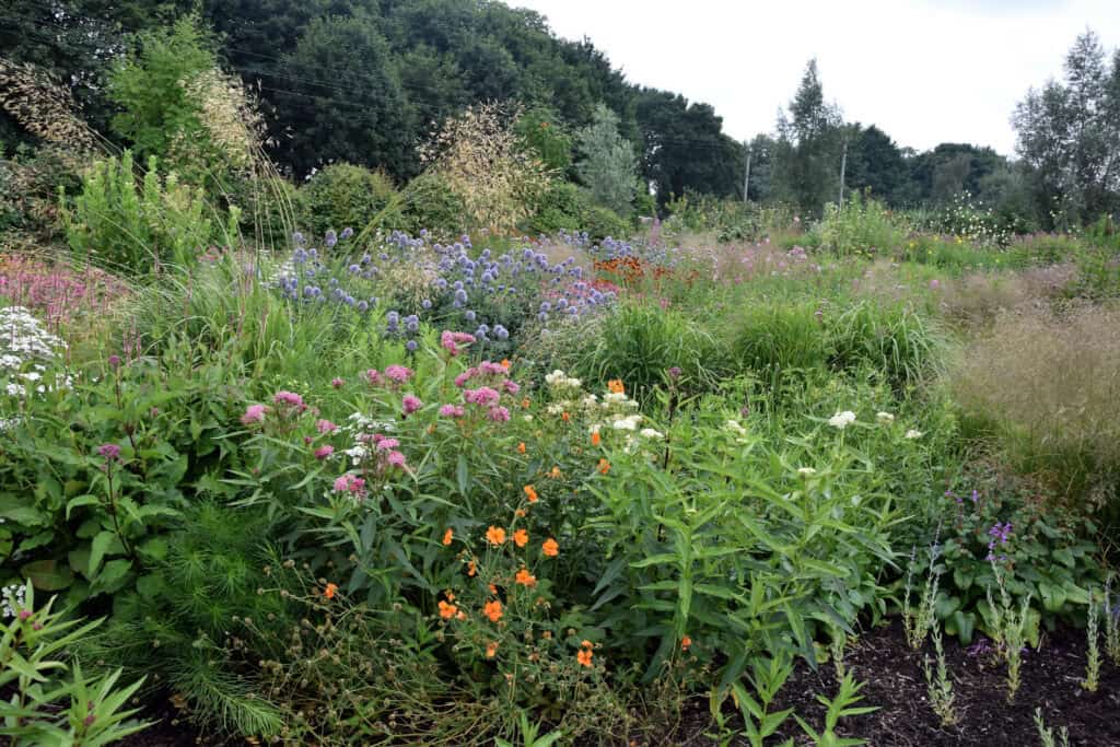 structuur in de tuin in de zomer
